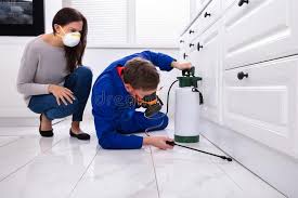 Best Pest Prevention Services  in Azle, TX